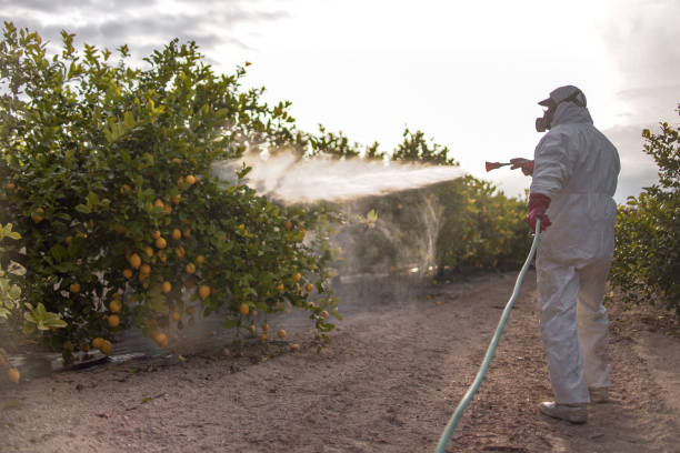 Best Pest Prevention Services  in Speedway, IN