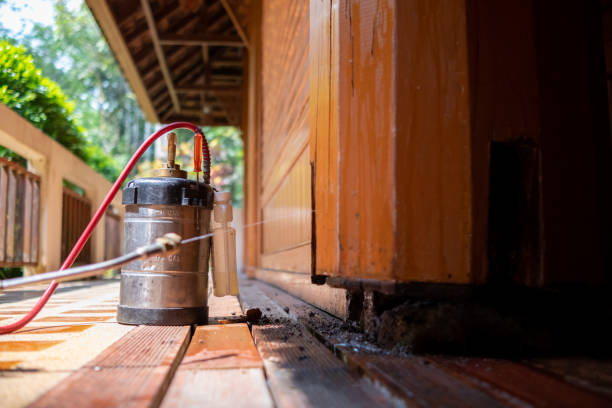Wasp Removal Services in Speedway, IN