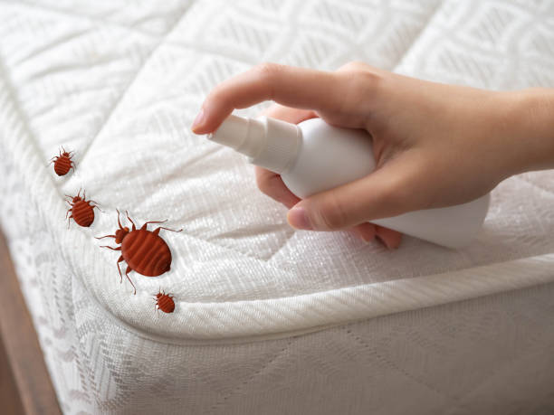Best Commercial Pest Control Services  in Speedway, IN