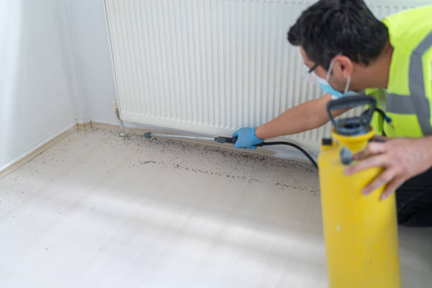 Professional Pest Control in Speedway, IN